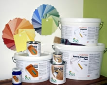 Natural Paints and Tints