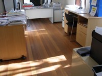 Hardwood in an Office - Sanded then oiled with Kunos natural oil sealer # 244