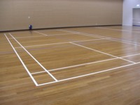 Basket Ball Court - After lines