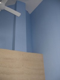 Capri blue wall and White ceiling - The eco paints dry matt and are breathable.