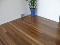 Floor of Spotted Gum
