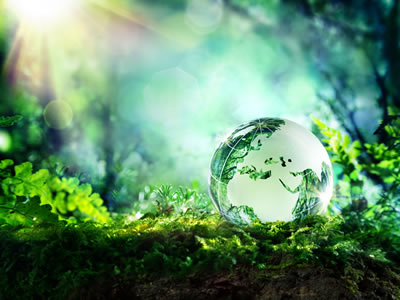 Green living with Livos
