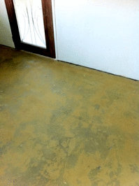 EucaFlora Nursery Concrete Floor -  treated with Ochre colour Vindo and Kunos clear.