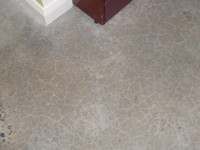 Office Concrete Floor