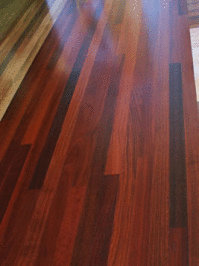 Floor of Jarrah 