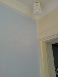 That’s it for the day, having rolled on the paint, it now has the time to start to dry.