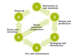 Questions to consider about reusable and biodegradable !