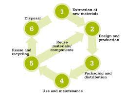 Questions to consider about  reusable and biodegradable !