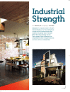 Industrial Strength- Rose of south yarra